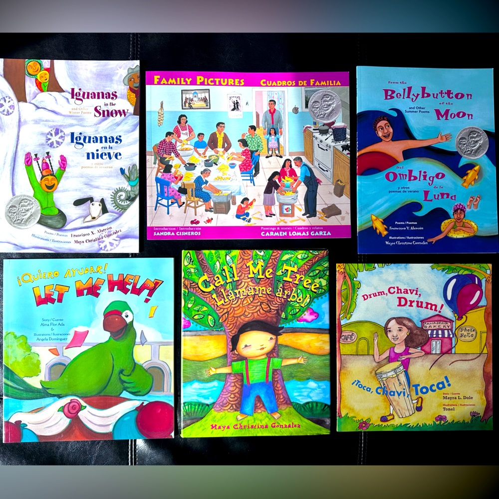6 Spanish + English Edition Children's Books